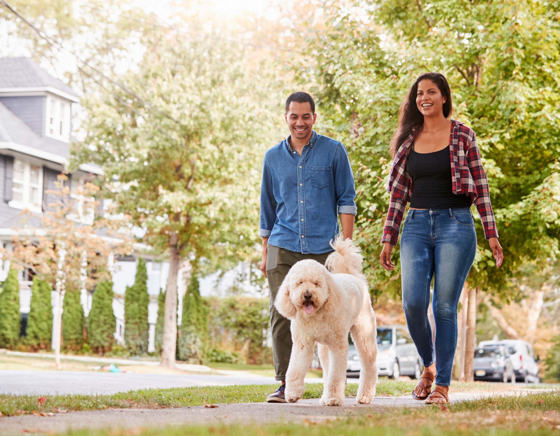 What Is The Distance The Average Person Walks Per Day Landmark Fine 